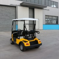New Designed Mini 2 Seats Golf Cart with Ce Certificate