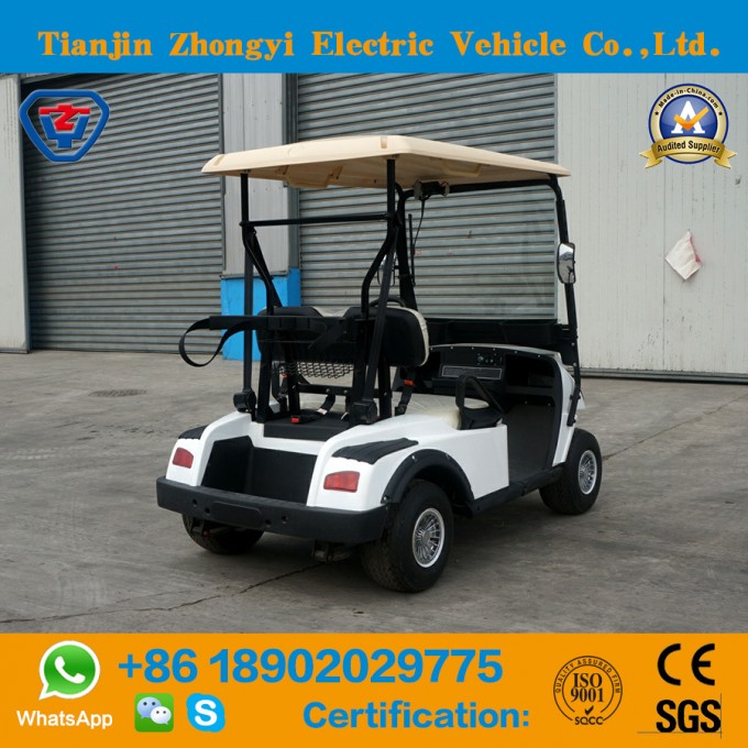Zhongyi Utility Vehicle 2 Seater Tourist Golf Cart with High Quality From China Image1