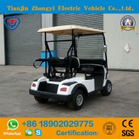 Zhongyi Utility Vehicle 2 Seater Tourist Golf Cart with High Quality From China