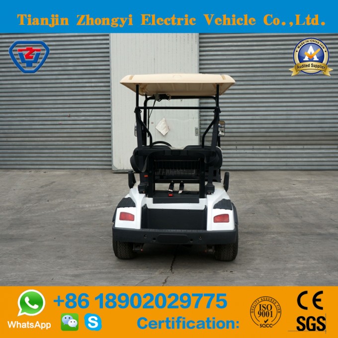 Zhongyi 2 Seats Mini Electric Golf Cart on Sale Image1