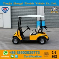 Zhongyi 2 Seater Electric Golf Cart