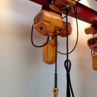 with Hoist Trolley f