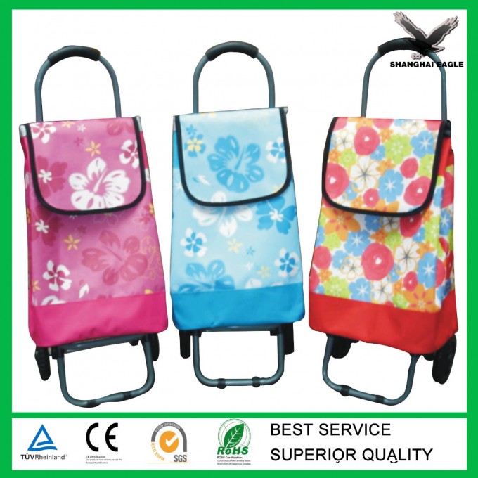 Wal-Mart Carrefour Shopping Cart Trolley Image1