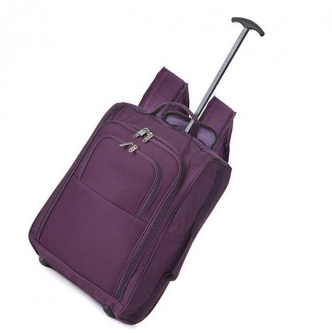 Sturdy 2-Wheeled Eminent Trolley Luggage Sh-16051942 Image1