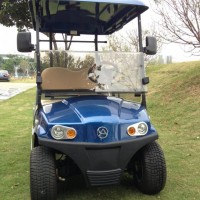 Wholesale AC Controller 2 Seater Electric Golf Cart with Storage Box