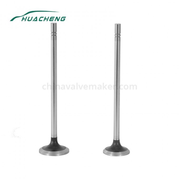 Diesel spare part engine valve Image1