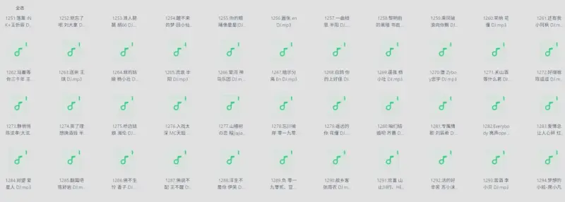 抖音热门歌曲DJ250首格式：MP3共1.2G