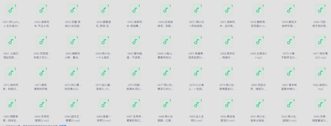 抖友中文DJ歌曲(200首）格式：MP3共1.4G